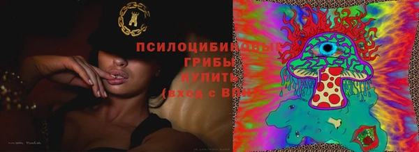 мдпв Новозыбков