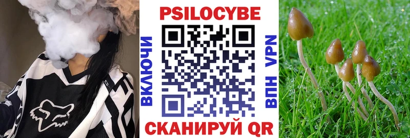 дарк нет состав  Усть-Илимск  Галлюциногенные грибы GOLDEN TEACHER 
